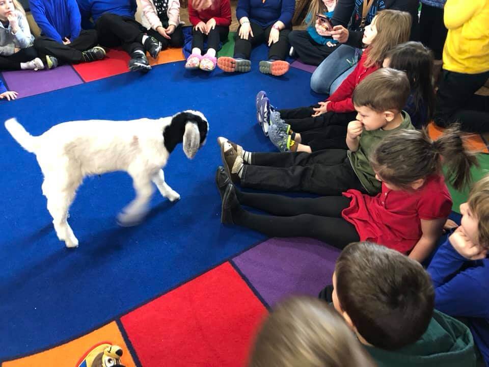 children waiting to pet a baby goat in class
